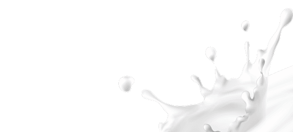 milk academy dondurma
